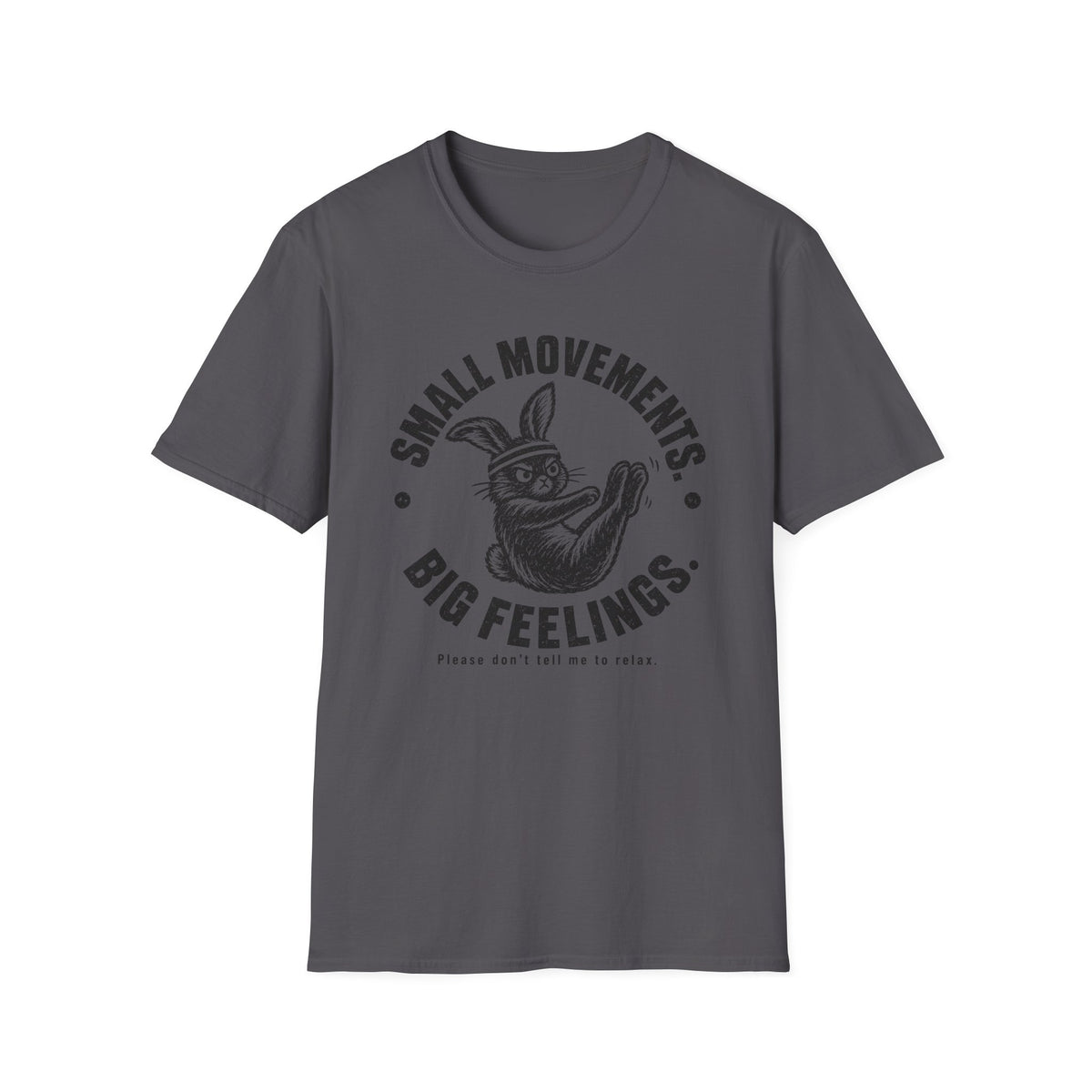 Small Movements. Big Feelings. – Vintage Illustrated Pilates Rabbit T-Shirt